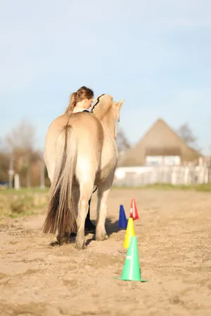 Paardentherapie
